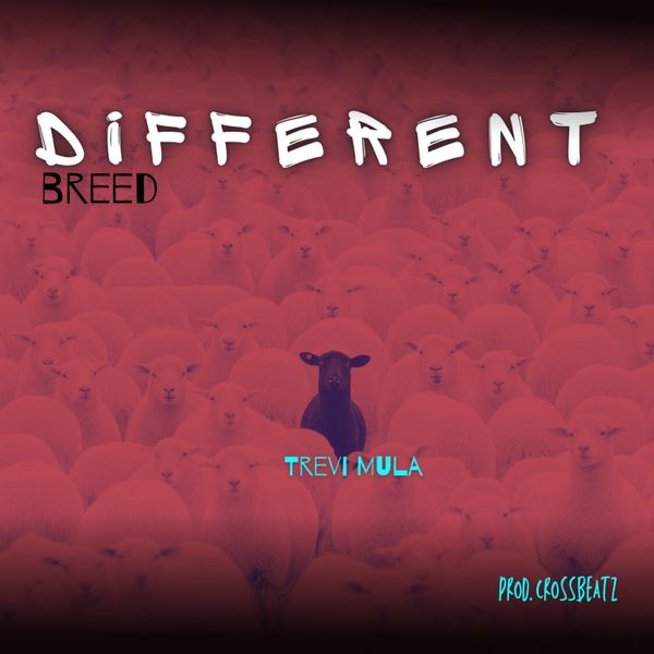 Trevi Mula - Different Breed