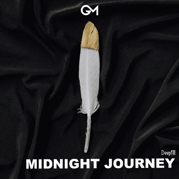 DeepFM - Midnight Journey