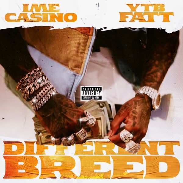 IME Casino - Different Breed