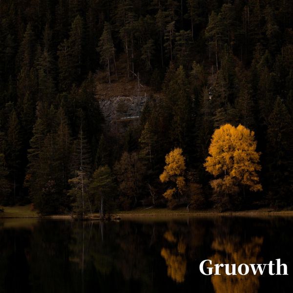 Gruowth - Gruowth