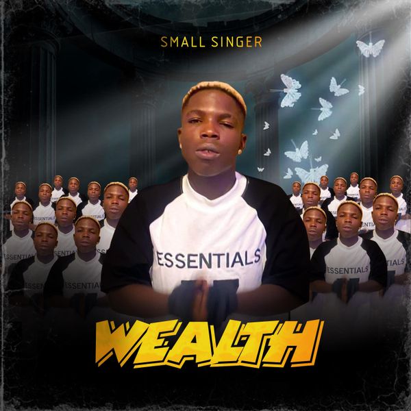 Small Singer - Wealth