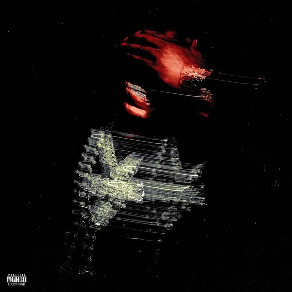 Rob49 - WTHELLY