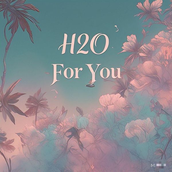 H2O - H2O  For You