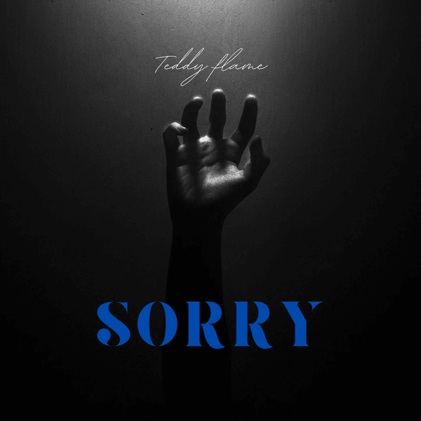 TeddyFlame - SORRY