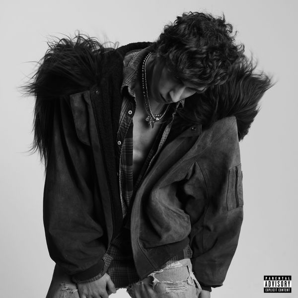Nate Sib - go