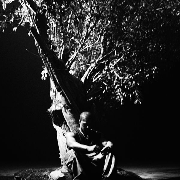 Khamari - Sycamore Tree