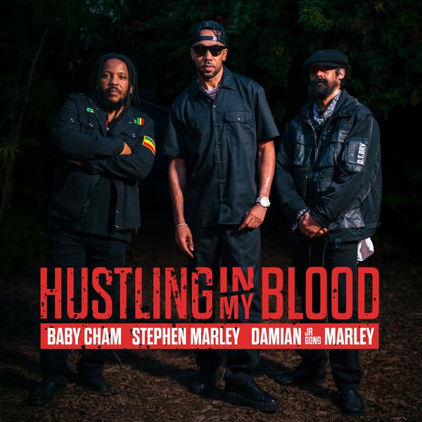 Baby Cham - HUSTLING IN MY BLOOD