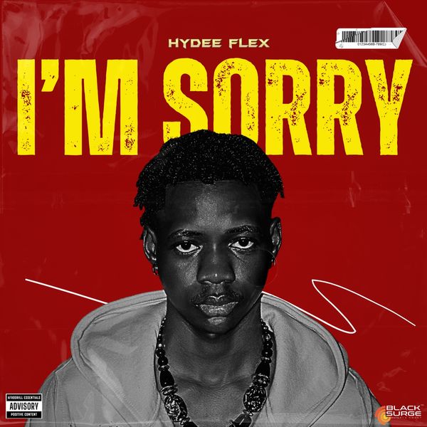 Hydee flex - I'm Sorry